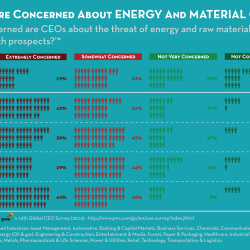 CEOs raw materials & energy cost