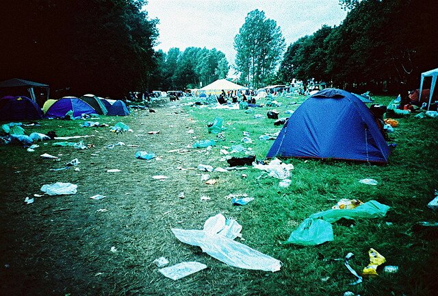 Rock-Werchter-golfpunkgirl-flickr