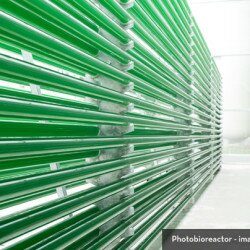 photobioreactor