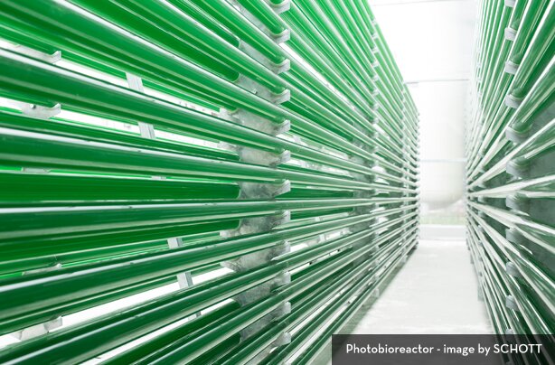 photobioreactor
