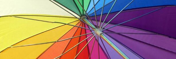 Sociale impact en bescherming