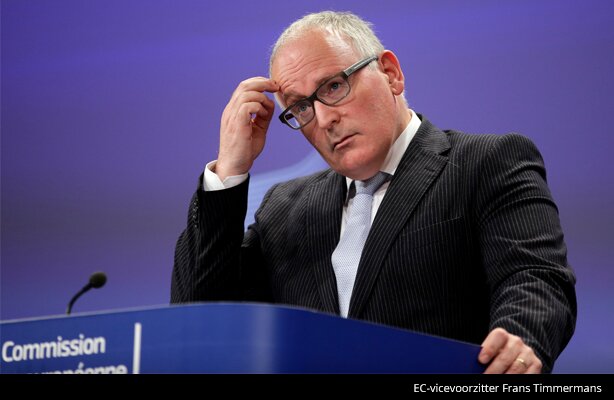 Timmermans